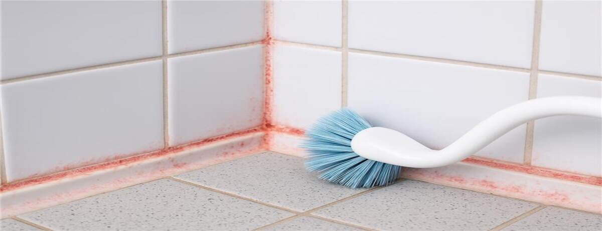 Simple Tips to Eliminate Pink Mould in the Bathroom